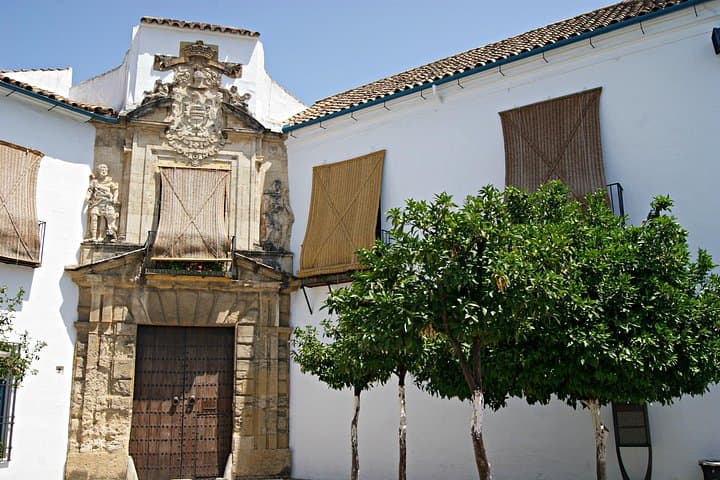 Day Trip to Córdoba's Mezquita from Málaga — Private Transfer & Guided Visit photo 6