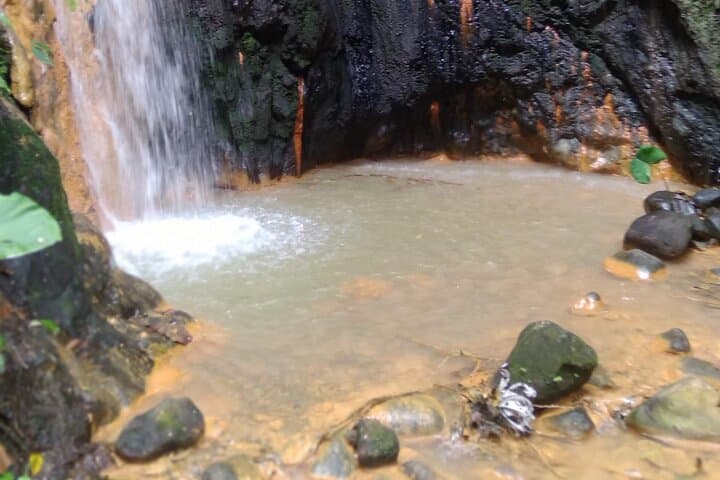 Private Fun Tour in Grenada — Rainforest Treks, Historic Forts, Rum & Chocolate photo 6