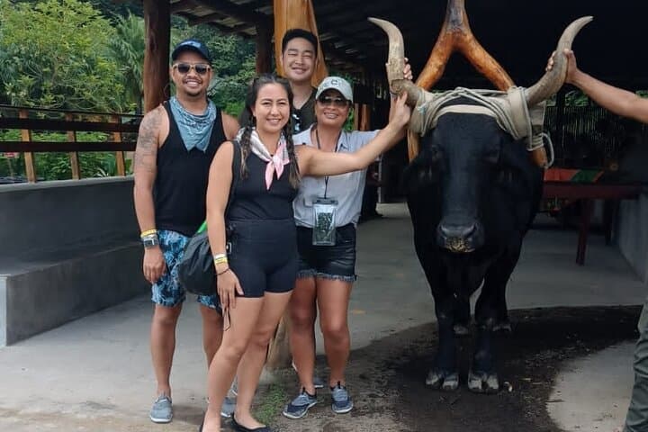 Mega Combo at Rincón de la Vieja: Zipline, Hot Springs & Horseback Day-Trip photo 6