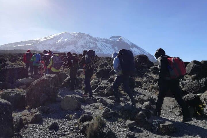 5-Day Marangu Route Kilimanjaro Climb: Hut-to-Hut Summit Guide photo 3