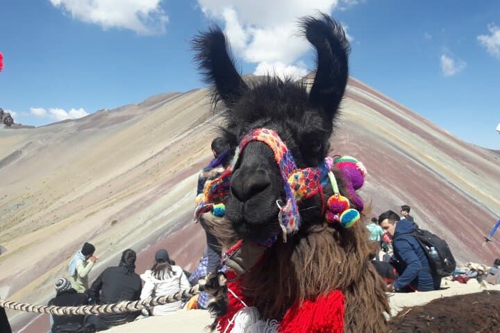 ATV to Rainbow Mountain (Vinicunca) — Quad Tour from Cusco photo 6