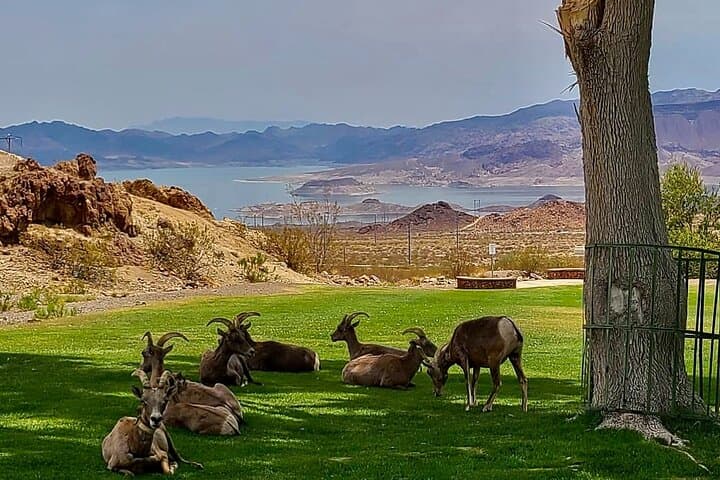 Hoover Dam Historic Railroad Trail eBike Tour — Lake Mead & Dam Views photo 6
