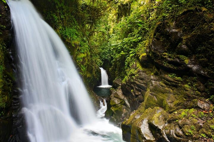 La Paz Waterfalls Gardens Half-Day Tour from San José — Waterfalls, Cloudforest & Wildlife photo 2