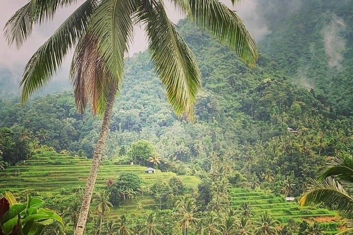 2-Day North Bali Private Tour: Ulun Danu, Lovina Dolphins & Tanah Lot