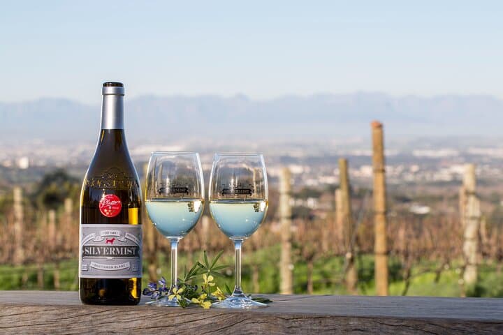 Drumstruck at Silvermist Vineyard: Live African Drum Show & Wine Tasting in Constantia photo 2