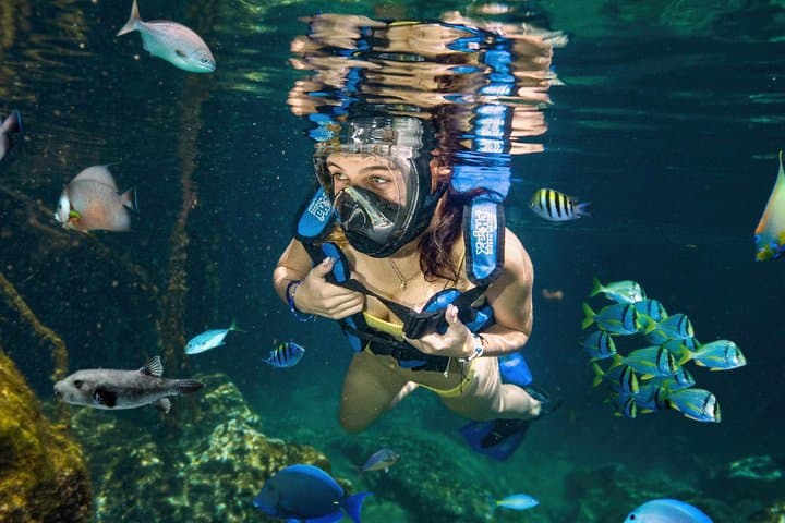 Xel-Ha Riviera Maya: Full-Day Natural Aquarium and Snorkel Adventure photo 1
