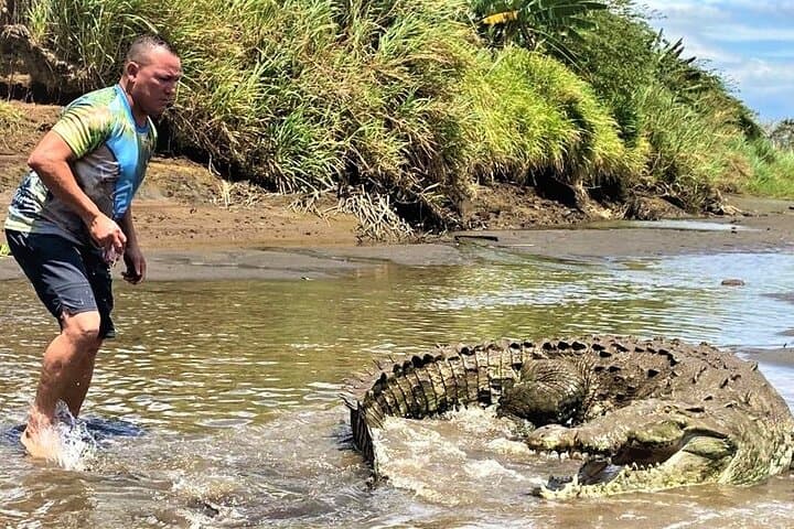 Jason Crocodile Tours: Guided Crocodile-Watching on Costa Rica’s Tárcoles River photo 2