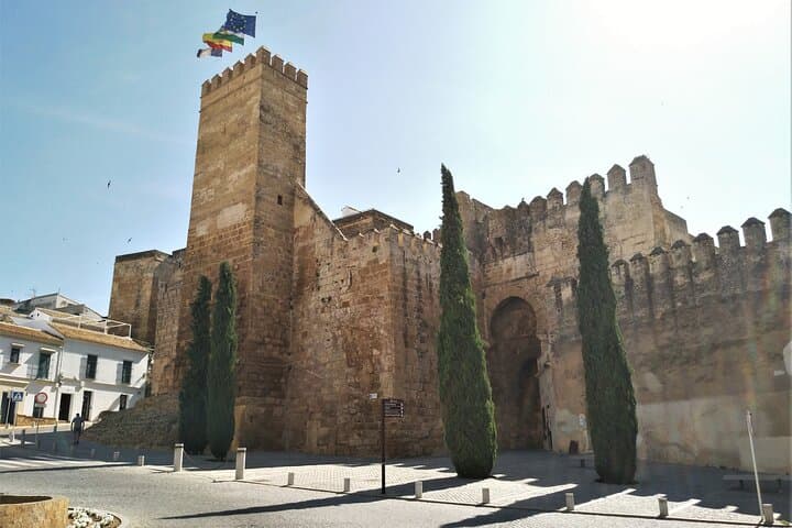 Private Day Trip to Carmona from Seville — 5,000 Years of History photo 4