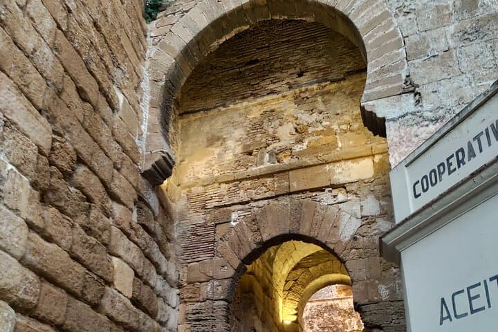 Private Day Trip to Carmona from Seville — 5,000 Years of History photo 6