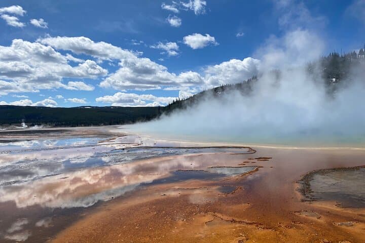 Yellowstone Lower Loop Private Tour: Old Faithful, Grand Prismatic & Wildlife