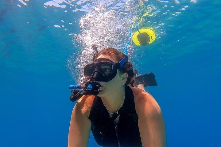 Nemo Guided Tour: Shallow Reef Snorkel in Lauderdale-by-the-Sea photo 2