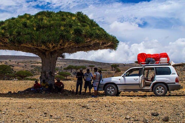 Socotra Island 8-Day Private Adventure: Dragon Blood Trees, Caves & Coastal Camping