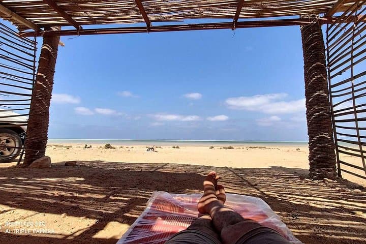 Socotra Island 8-Day Private Adventure: Dragon Blood Trees, Caves & Coastal Camping photo 2