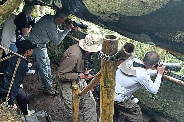 Birdwatching Tour Northwest Pichincha: Mindo & Milpe Day Trip from Quito photo 4