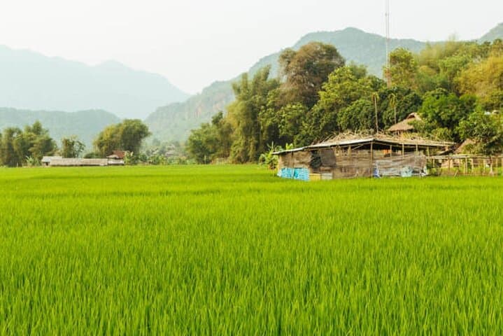 Pu Luong to Ninh Binh: 3-Day Trek, Cycling & Boat Tour photo 6