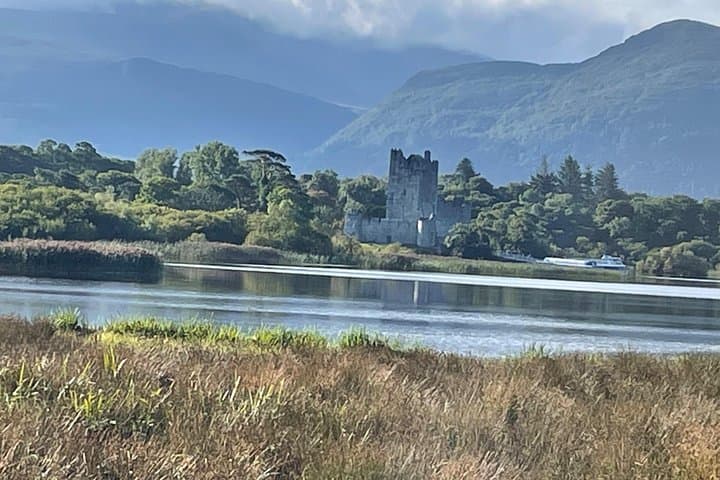 Killarney Horse-Drawn Carriage Tour: Ross Castle, Inisfallen & Deer Park photo 3