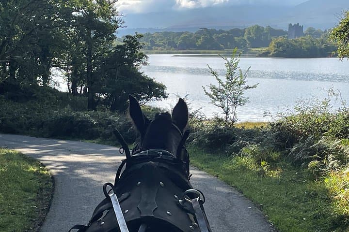 Killarney Horse-Drawn Carriage Tour: Ross Castle, Inisfallen & Deer Park photo 1