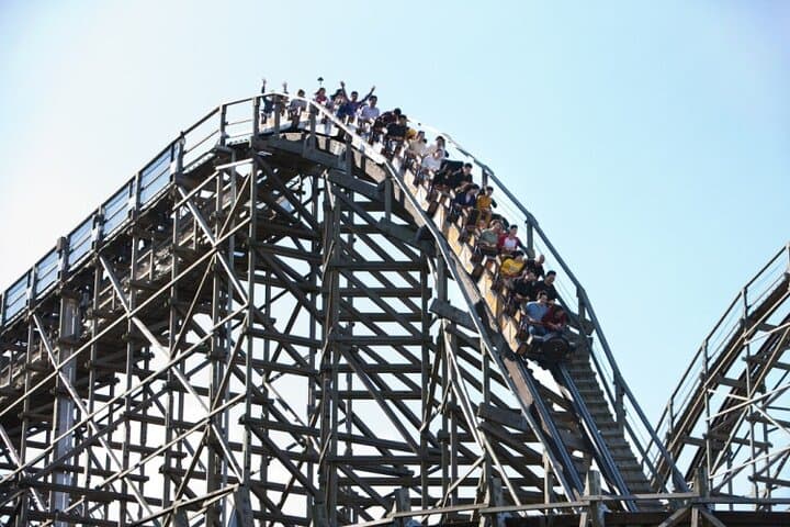 Private Everland Theme Park Tour from Seoul — Private Van & Guide photo 5