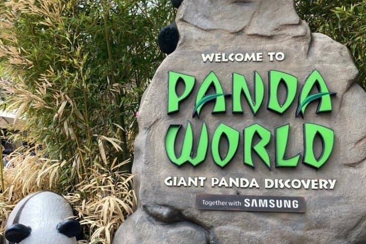 Private Everland Theme Park Tour from Seoul — Private Van & Guide photo 6