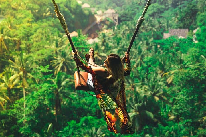 Ubud Memorable Trip: Full-Day Private Tour to Rice Terraces, Monkeys & Waterfall