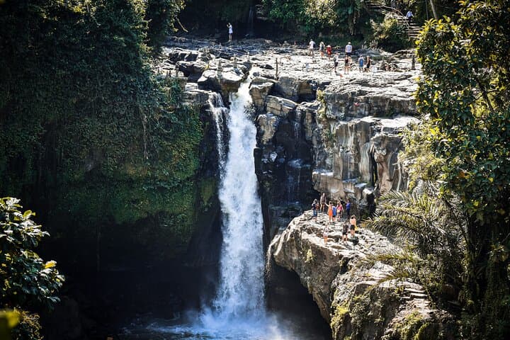 Ubud Memorable Trip: Full-Day Private Tour to Rice Terraces, Monkeys & Waterfall photo 4
