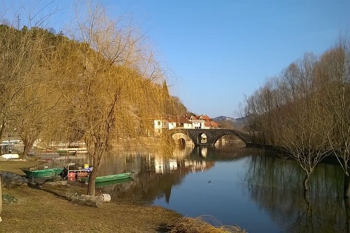 Old Montenegro Day Tour: Skadar Lake, Lovćen & Cetinje Highlights photo 6