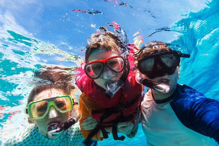 Daymaniyat Islands Snorkel: Swim with Turtles, Rays & Whale Sharks off Muscat photo 4