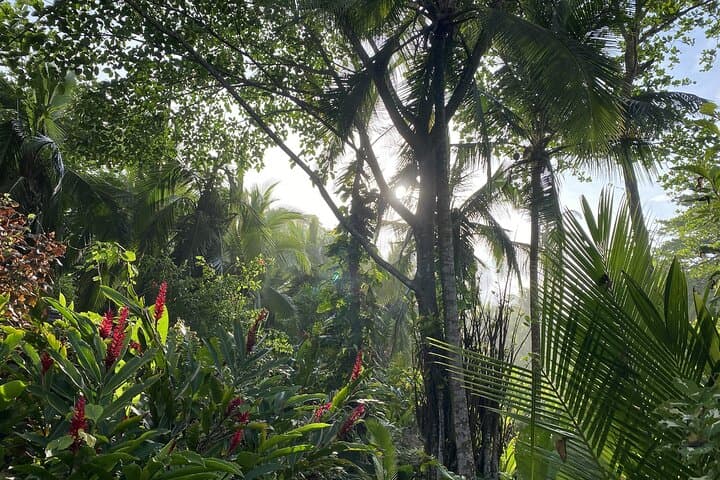 Private Costa Rica Caribbean Tour: Gandoca, Cahuita & Jaguar Rescue photo 1
