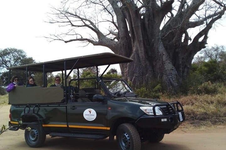 Half-Day Kruger Open Vehicle Safari from Marloth Park — Morning Big Five Drive photo 4