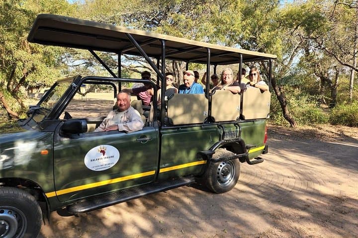 Half-Day Kruger Open Vehicle Safari from Marloth Park — Morning Big Five Drive photo 2