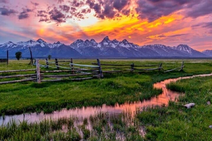 Grand Teton Wildlife Safari: Dawn & Dusk Jeep Tours from Jackson Hole photo 5