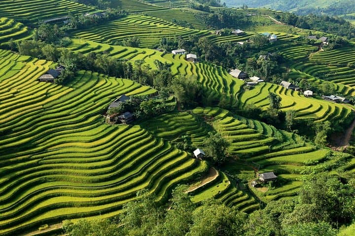 Hoang Su Phi Trekking Tour — 3-Day Rice Terrace Trek & Yao Village Homestay
