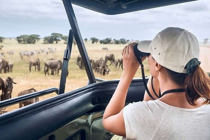 2-Day Tarangire and Ngorongoro Safari from Zanzibar photo 6