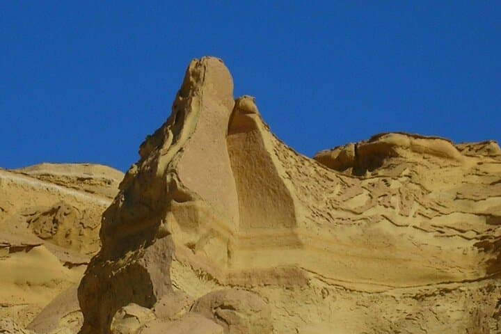 Fayoum Day Trip from Cairo: Qaroun Lake, Wadi El Rayan & Wadi Hitan photo 3