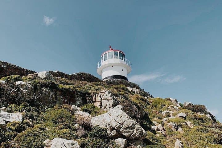 Private Cape Peninsula Day Tour: Boulders Penguins, Cape Point & Chapman's Peak Drive photo 5