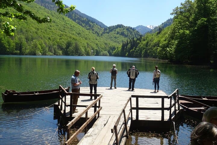 Moraca Canyon & Biogradska Gora: Private Day Tour from Podgorica