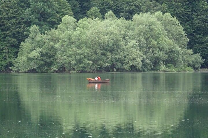 Moraca Canyon & Biogradska Gora: Private Day Tour from Podgorica photo 6