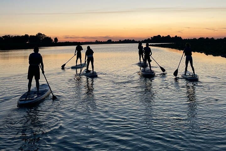Paddle Mantua’s Città d'Acqua: SUP Through Lotus Flowers and Heronries photo 3