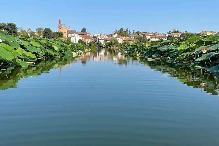 Paddle Mantua’s Città d'Acqua: SUP Through Lotus Flowers and Heronries photo 4