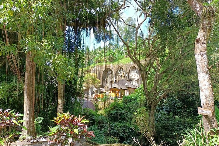 Full-Day Private Ubud Tour with Pickup — Temples, Waterfalls & Rice-Field Views photo 6