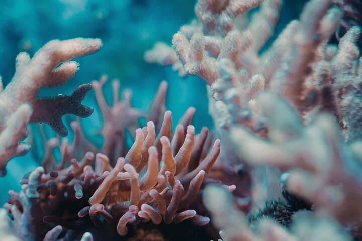 Nha Trang 3-Day PADI Open Water Diver Course — Beginner Scuba Certification photo 6