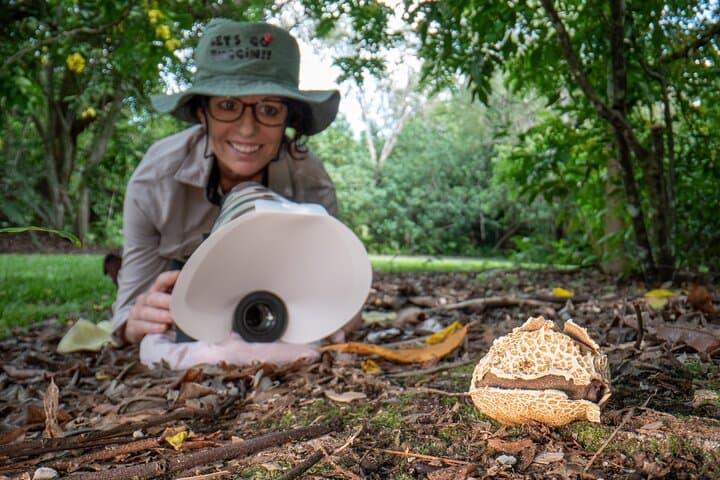 Mushroom Photography in Cairns Botanic Gardens: 2-Hour Guided Walk photo 4