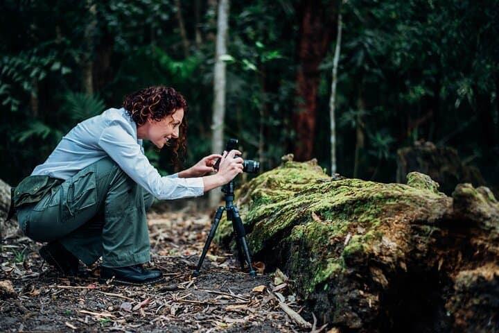 Mushroom Photography in Cairns Botanic Gardens: 2-Hour Guided Walk photo 3