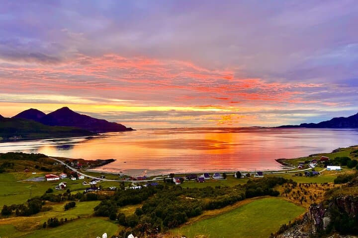 Tromsø Half-Day Fjord Photography & Wildlife Cruise