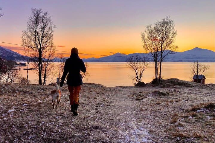 Tromsø Half-Day Fjord Photography & Wildlife Cruise photo 5