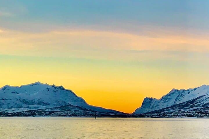 Tromsø Half-Day Fjord Photography & Wildlife Cruise photo 6