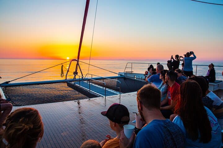 Sunrise Catamaran Dolphin Watching in Alcúdia — Mallorca Morning Cruise photo 4