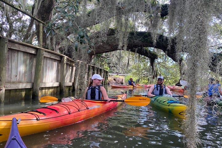 Paddle with Dolphins on Shem Creek: Charleston Kayak Eco Tour photo 4