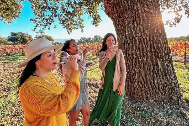 Discover Santa Ynez Valley Wine Shuttle: A Leisurely Day Exploring Southern California Vineyards photo 4