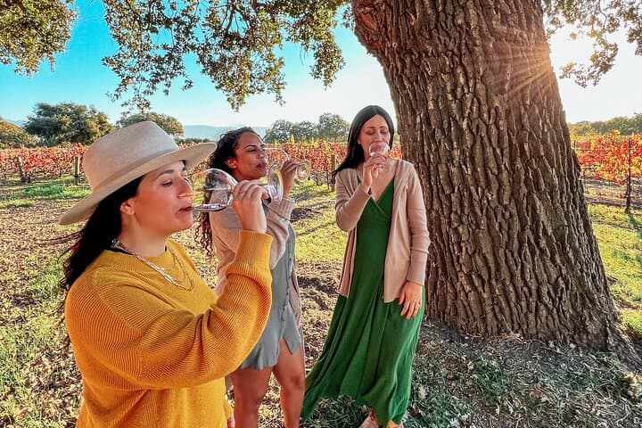 Santa Ynez Wine Tour All-Inclusive: Tasting Santa Barbara Wine Country photo 2